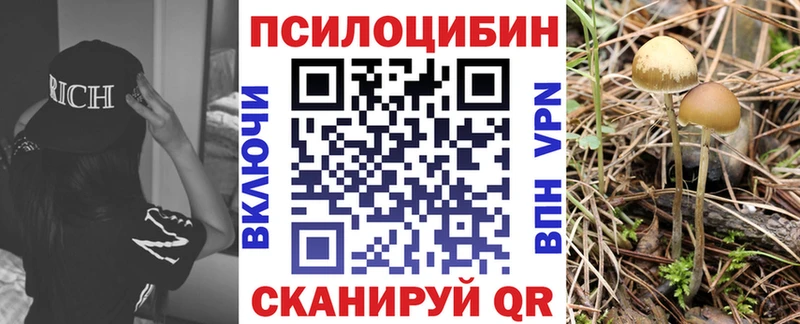 Псилоцибиновые грибы Psilocybine cubensis мега рабочий сайт Ялта