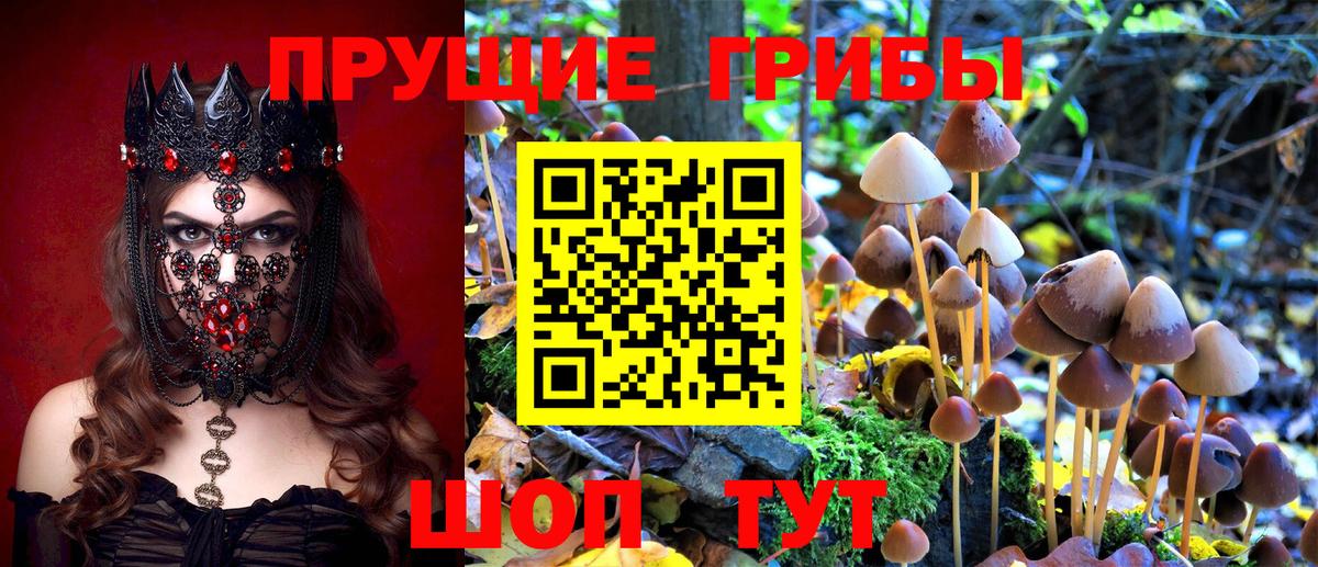 Ялта  Псилоцибиновые грибы Magic Shrooms  Псилоцибиновые грибы Psilocybine cubensis  Вход с VPN 